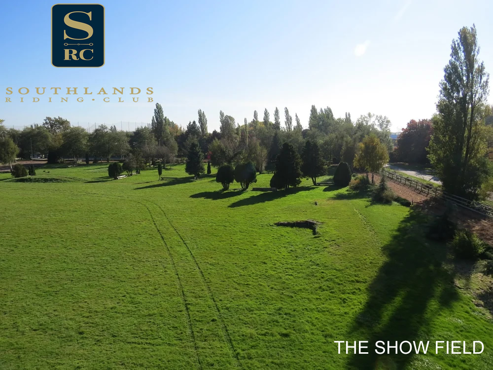 JUST PART OF THE HUGE GRASS SHOW FIELD AT SOUTHLANDS
